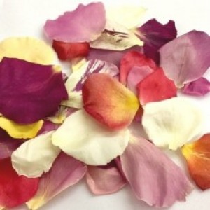 Freeze Dried Rose Petals